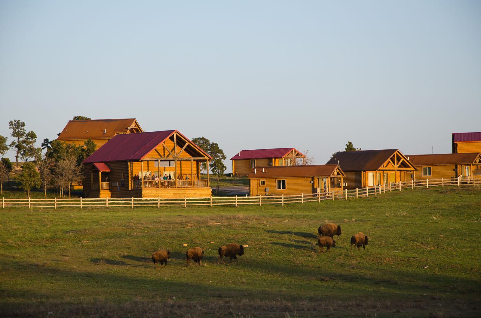 Zion Mountain Ranch Otel Mount Carmel Junction Dış mekan fotoğraf